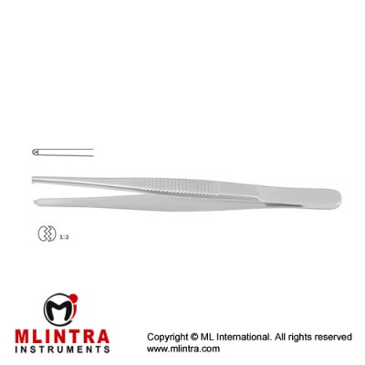 Standard Pattern Dissecting Forceps 1 x 2 Teeth Stainless Steel, 25 cm - 9 3/4"